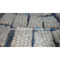 White Garlic/Fresh garlic price China/Natural garlic bulb